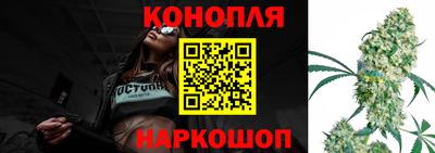 стаф Коломна