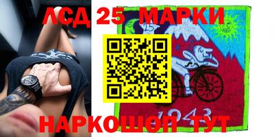 стаф Коломна