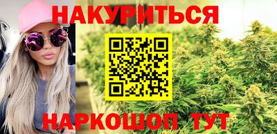 стаф Коломна