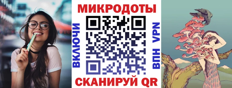 Псилоцибиновые грибы Psilocybe Кореновск