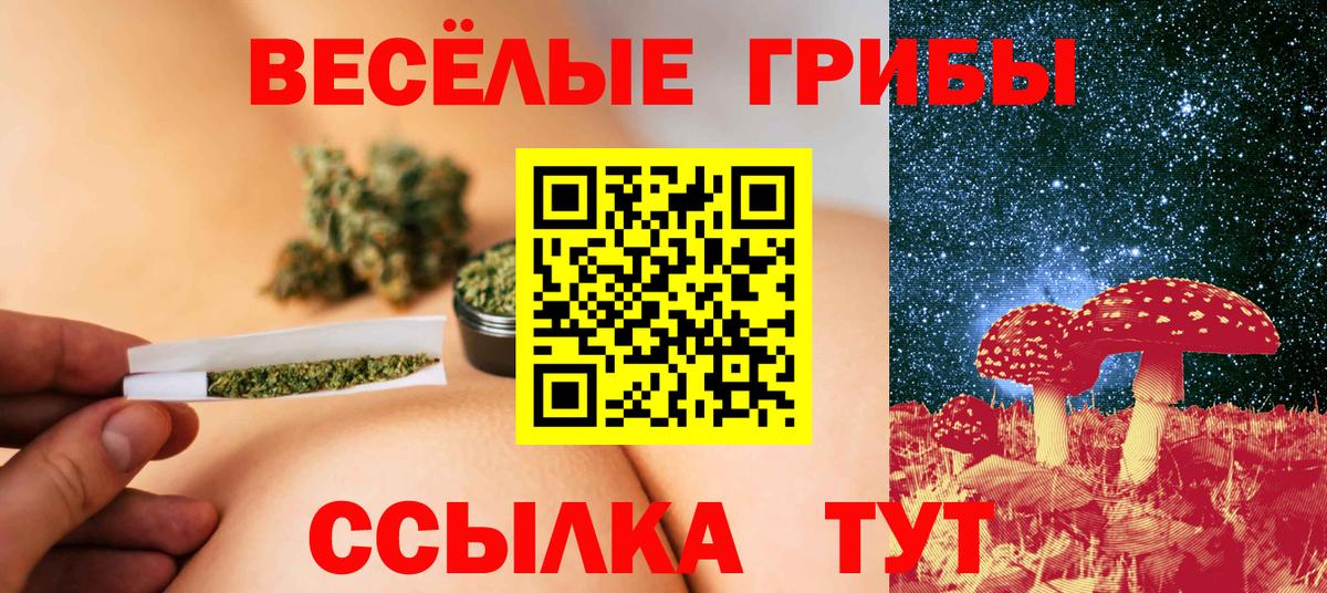 Псилоцибиновые грибы прущие грибы  Вход с VPN  закладки  Кореновск 